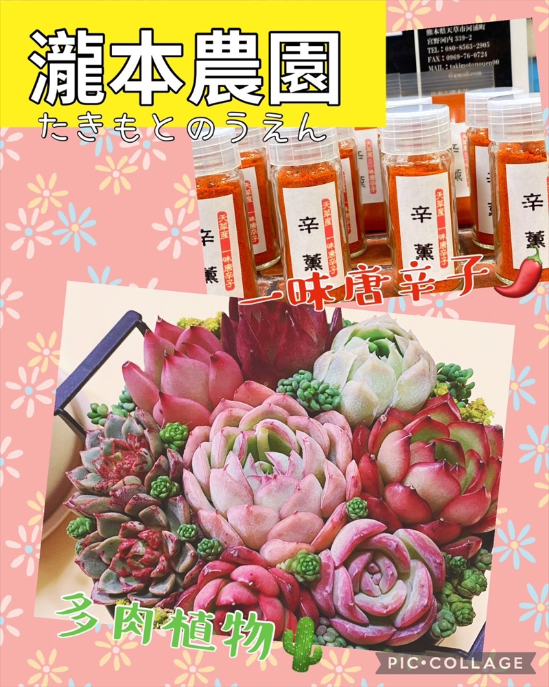 瀧本農園